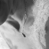 IMG_4174_sito
